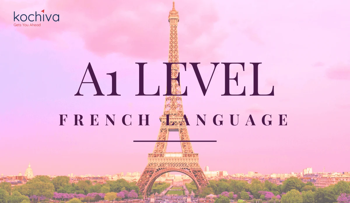a1 level french