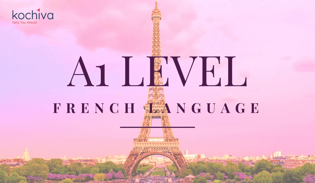 what-is-a1-level-french